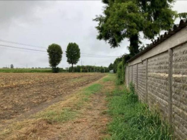 Immobile in asta di 14272 m² in vendita a Ostiglia - Foto 2