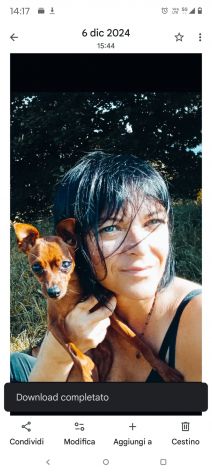 Dog Sitter Affidabile e Amante degli Animali - zona Saccisica e dintorni