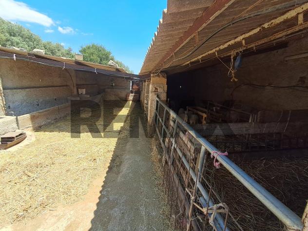 Cascina/Casale in vendita a Santa Croce Camerina - Foto 15
