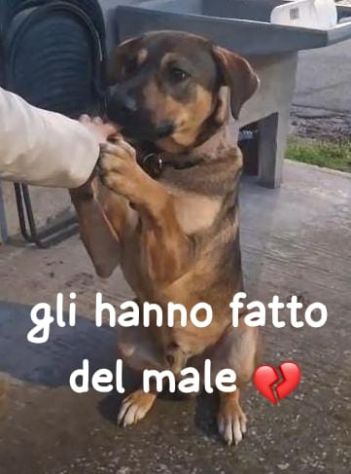 ROMEO 1 ANNO - Foto 2