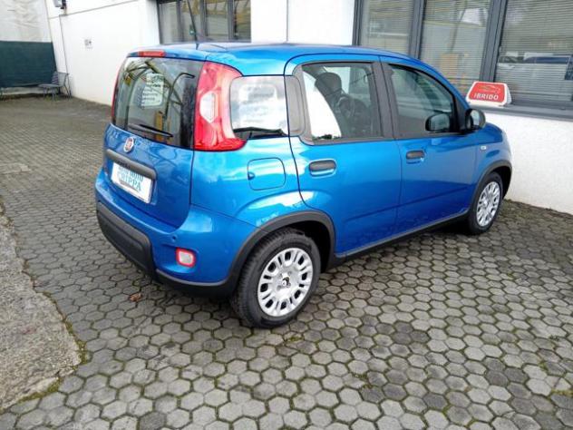 FIAT Panda 1.0 MILD HYBRID MANUALE PANDINA OK NEOPAT. KM ZERO rif. 23681683 - Foto 5