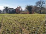 Terreno Agricolo - Riccione . Rif.: C 110