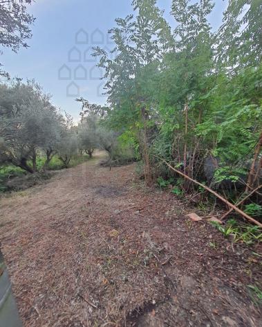 VILLA di 5 vani e di 150 mq (MESSINA) rif. 2VS16782 - Foto 7