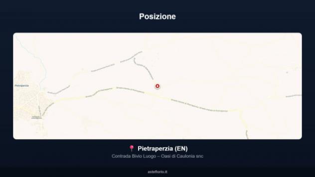 Immobile in asta di 705 m² in vendita a Pietraperzia - Foto 10