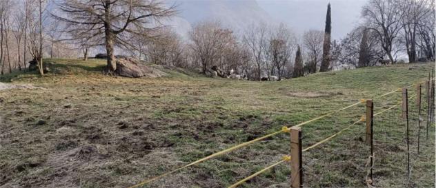 21/2022 1 BS - Aree in posizione collinare in asta a Darfo Boario Terme - Foto 9
