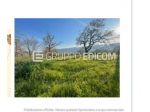 Terreno di 2140 mq in vendita a Morcone - Rif. 4554722