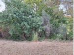 Agricolo in vendita a Morlupo