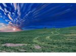 50 ha terreno per abbinare titoli pac