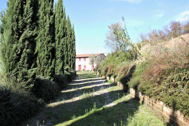 Splendido Casale Immerso nel Verde delle Colline Pisane della Valdera