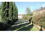 Splendido Casale Immerso nel Verde delle Colline Pisane della Valdera