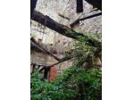 Immobile in asta di 120 m² in vendita a Chitignano