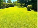 Villetta bifamiliare in vendita a Montelupo Fiorentino 180 mq  Rif: 1421757