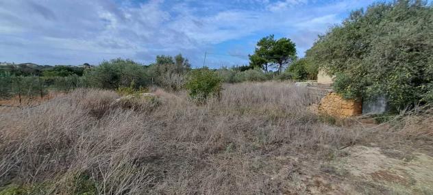 Agricolo in vendita a Marsala - Foto 6