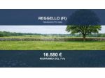 Immobile in asta di 77084 m² in vendita a Reggello