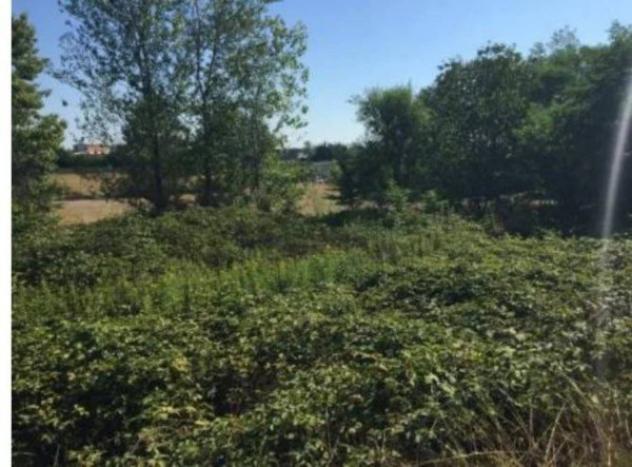 Immobile in asta di 56762 m² in vendita a Vigevano - Foto 10