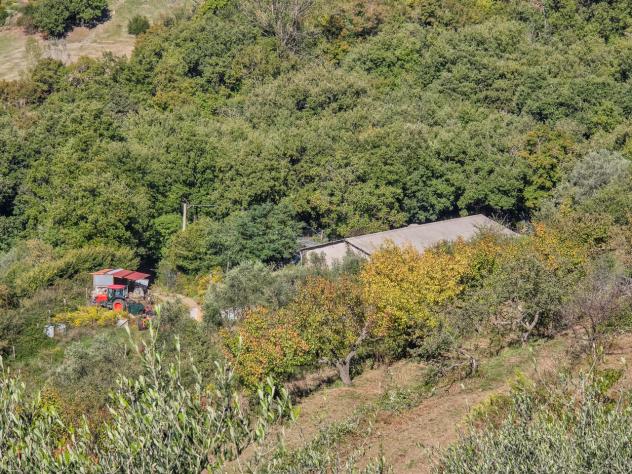 Appartamento in vendita a Roccastrada - Foto 6