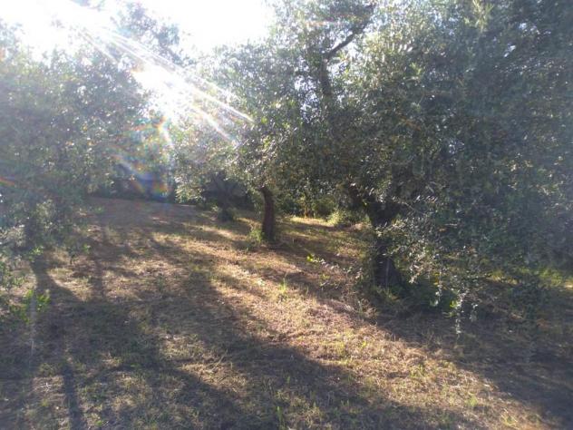 LANUVIO - Foto 10
