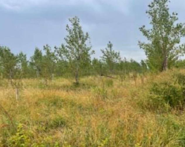 Immobile in asta di 32085 m² in vendita a Portogruaro - Foto 4