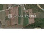 Terreno in vendita a Sciara - Rif. 4549880