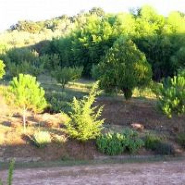 Agrit. Podere Le Tombe - Foto 2