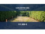 Immobile in asta di 4976 m² in vendita a Carlentini