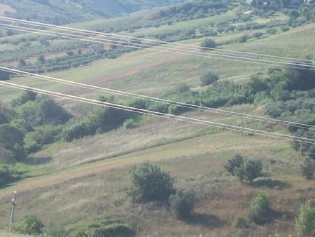 Uliveto in vendita a Lanciano - Foto 18