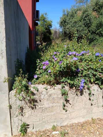 Terreno Edificabile in vendita a Siracusa, Tremmilia - Foto 7