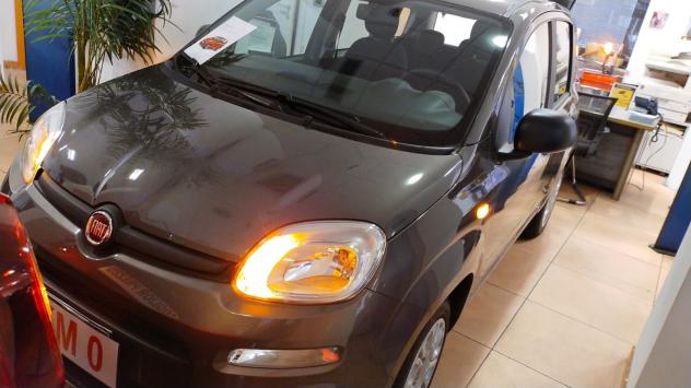 Fiat Panda 1 - Foto 2