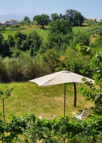 Bifamiliare in vendita a Civitella Casanova - Foto 14