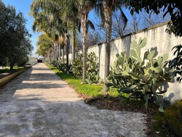 Immobile in asta di 34475 m² con più di 5 locali e box auto in vendita a Liveri - Foto 9