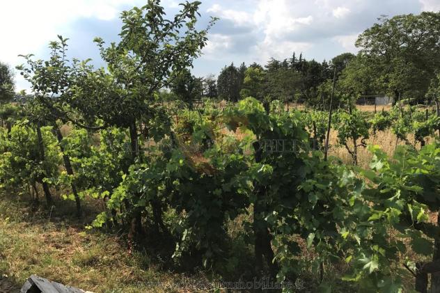 Terreno agricolo in vendita a Colle di Val d'Elsa 1000 mq Rif: 888679