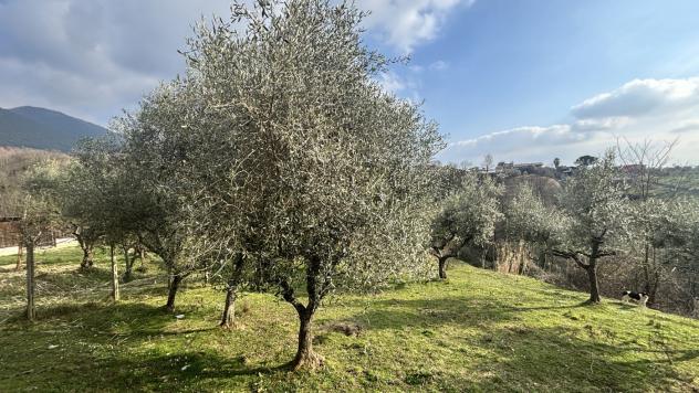 Rustico/Casale/Corte - Alatri . Rif.: Cod. rif 3297841VRG - Foto 6