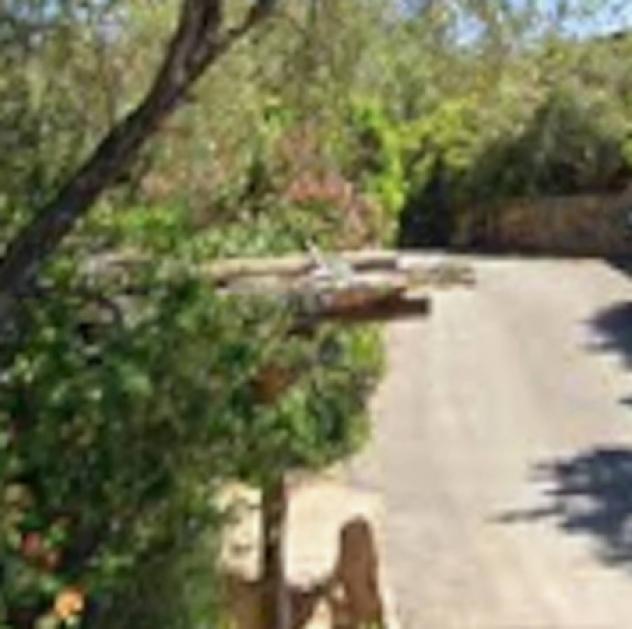 Immobile in asta di 198 m² in vendita a San Teodoro - Foto 6