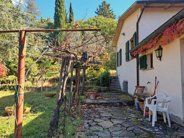 Tenuta Vivaio, Loc. Tregozzano - Rif. V185 - Foto 8