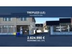 Immobile in asta di 74548 m² in vendita a Trepuzzi