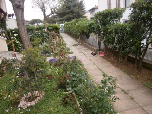 Appartamento in affitto a Vada - Rosignano Marittimo 45 mq Rif: 470587 - Foto 10