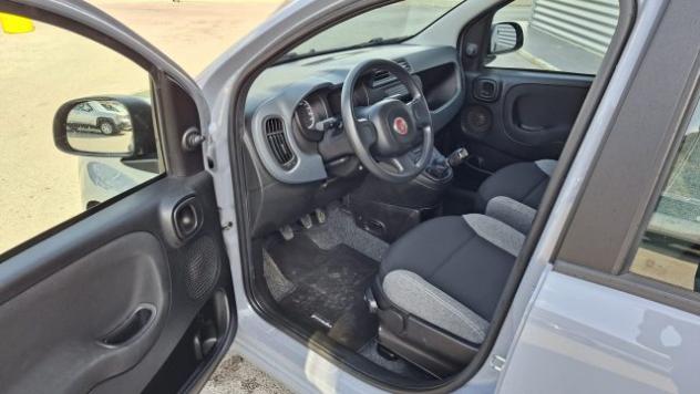 FIAT Panda 1.0 FireFly Hybrid City Life LEGGE 104 IVA ESPOSTA rif. 23401849 - Foto 9