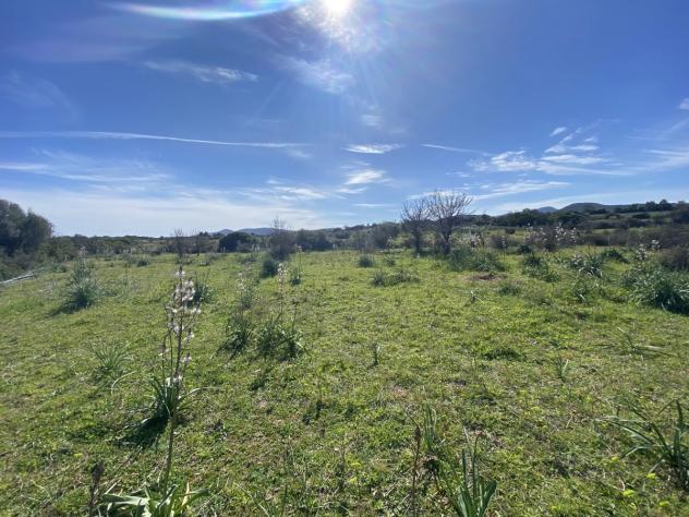 Terreno Agricolo - Budoni . Rif.: cod. rif5949651VRG - Foto 3
