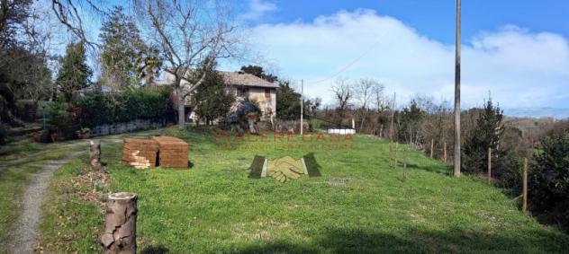 Porano - Vendesi casaletto con 4100 mq di terreno, nella tranquilla campagna a pochi minuti da Orvieto. - Foto 2