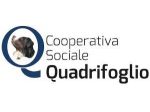 OPERATORE SOCIO SANITARIO e ASA, anche in formazione, per RSA a OSTIGLIA (MN)