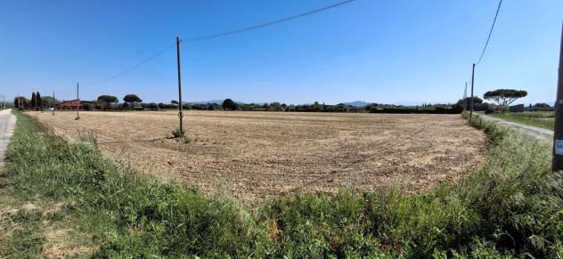Terreno agricolo in vendita a Grosseto 22000 mq Rif: 1407583