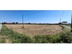 Terreno agricolo in vendita a Grosseto 22000 mq  Rif: 1407583