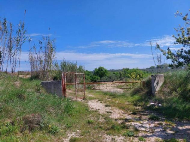 Immobile in asta di 5342 m² in vendita a Villamagna - Foto 4