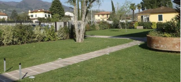 GIARDINIERE PER MANUTENZIONE VERDE MOGLIANO MARCON FAVARO - Foto 5