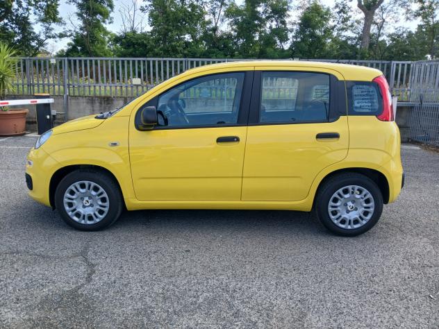 Fiat Panda 1.0 FireFly S&S Hybrid Pandina - Foto 8