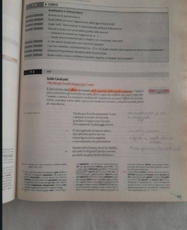 Luperini storia della letteratura ita. Dalle origini al 1925 - Foto 4