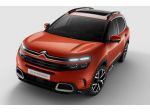 MUSATA COMPLETA CITROEN C5 ANNO 2021 #0021