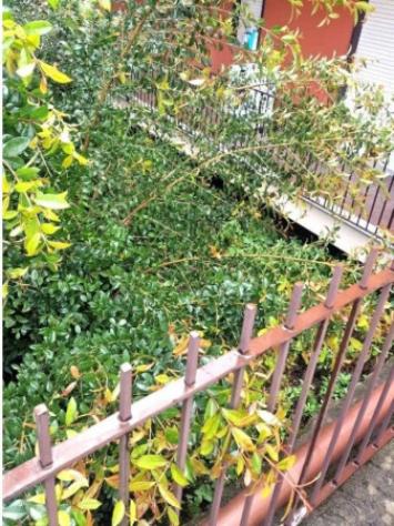 Immobile in asta di 10919 m² in vendita a Fiumefreddo di Sicilia - Foto 3