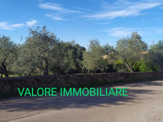 SASSARI LOCALITA' LA LANDRIGGA - Foto 2