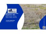 Immobile in asta di 37480 m² in vendita a Salemi